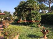 Casa indipendente in vendita a Livorno via numa campi,...