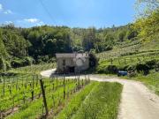 Casa indipendente in vendita a Loazzolo AT