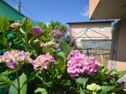 Casa indipendente in vendita a Mallare