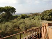 Casa indipendente in vendita a Marino RM