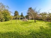 Casa indipendente in vendita a Marino RM