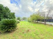 Casa indipendente in vendita a Massa MS