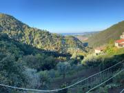 Casa indipendente in vendita a Massa via Gaspero...