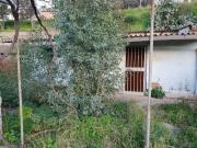 Casa indipendente in vendita a Messina ME