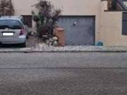 Casa indipendente in vendita a Monte San Pietro via Del...