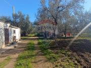 Casa indipendente in vendita a Monte Sant'Angelo