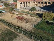 Casa indipendente in vendita a Montemagno