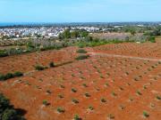 Casa indipendente in vendita a Morciano di Leuca LE