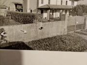 Casa indipendente in vendita a Mortegliano