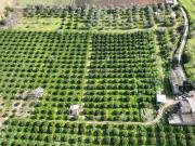 Casa indipendente in vendita a Noto SR