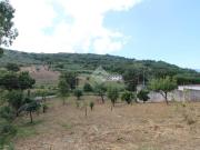 Casa indipendente in vendita a Ogliastro Cilento SA