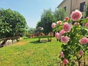 Casa indipendente in vendita a Orvieto