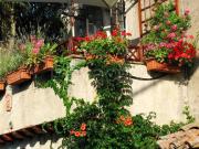 Casa indipendente in vendita a Osteriola, Proceno