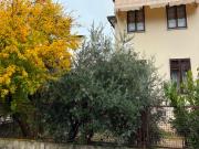 Casa indipendente in vendita a Padova