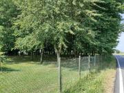 Casa indipendente in vendita a Pegognaga MN