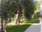 Casa indipendente in vendita a Perinaldo