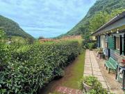 Casa indipendente in vendita a Pietrasanta