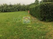 Casa indipendente in vendita a Pisa via Maggiore di...