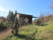 Casa indipendente in vendita a Poggio Mirteto RI