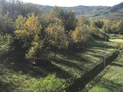Casa indipendente in vendita a Polinago MO