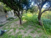 Casa indipendente in vendita a Reggio Calabria