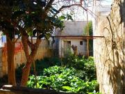 Casa indipendente in vendita a Salve LE