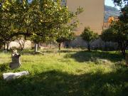 Casa indipendente in vendita a San Felice a Cancello CE