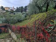 Casa indipendente in vendita a San Miniato