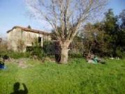 Casa indipendente in vendita a Sarzana SP