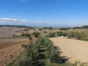 Casa indipendente in vendita a Senigallia AN