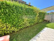 casa indipendente in vendita a Seravezza, Querceta