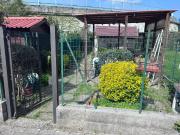 Casa indipendente in vendita a Sesto Fiorentino FI