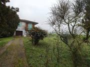 Casa indipendente in vendita a Taglio di Po via Delta del Po