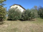 Casa indipendente in vendita a Trecastelli AN