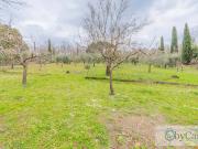 Casa Indipendente in vendita a Trevignano Romano