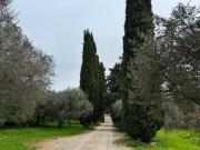 Casa indipendente in Vendita a Verona Biondella