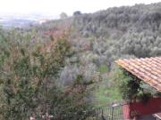 Casa indipendente in vendita a Vinci FI