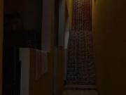 Casa, Jardim, Francisco Morato, SP