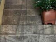 Casa, Jardim Itaquiti, Barueri, SP