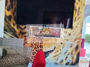 Casa, Jardim Maria Rosa, Taboão da Serra, SP