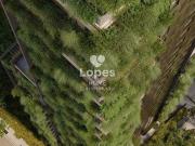 CASA JOBIM/LANÇAMENTO/ECOVILLE 2OU 3 SUÍTES/2 OU 3 VAGAS