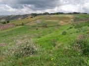 CASA LOTE EN VENTA EN CHOCONTA