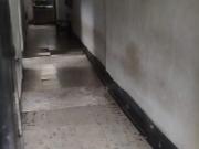 CASA LOTE EN VENTA MEDELLIN, ACEVEDO PRECIO OPORTUNIDAD