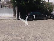 Casa Maravilhosa em São Vicente Porteira Fechada