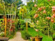 Casa, Maresias, São Sebastião, SP