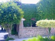 CASA MARGARITA SAN PEDRITO PEÑUELAS