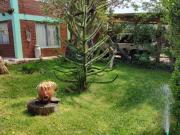 Casa mas cabañas en Junin de los Andes, Neuquen Casa mas cabañas en Junin de los Andes, Neuquen