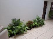 CASA VENECIA EN VENTA EN MILENIO III