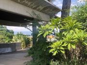 Casa moderna en renta Palmira Cuernavaca