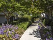 Casa Monterey Apartments 2 Bedroom 2 Bath